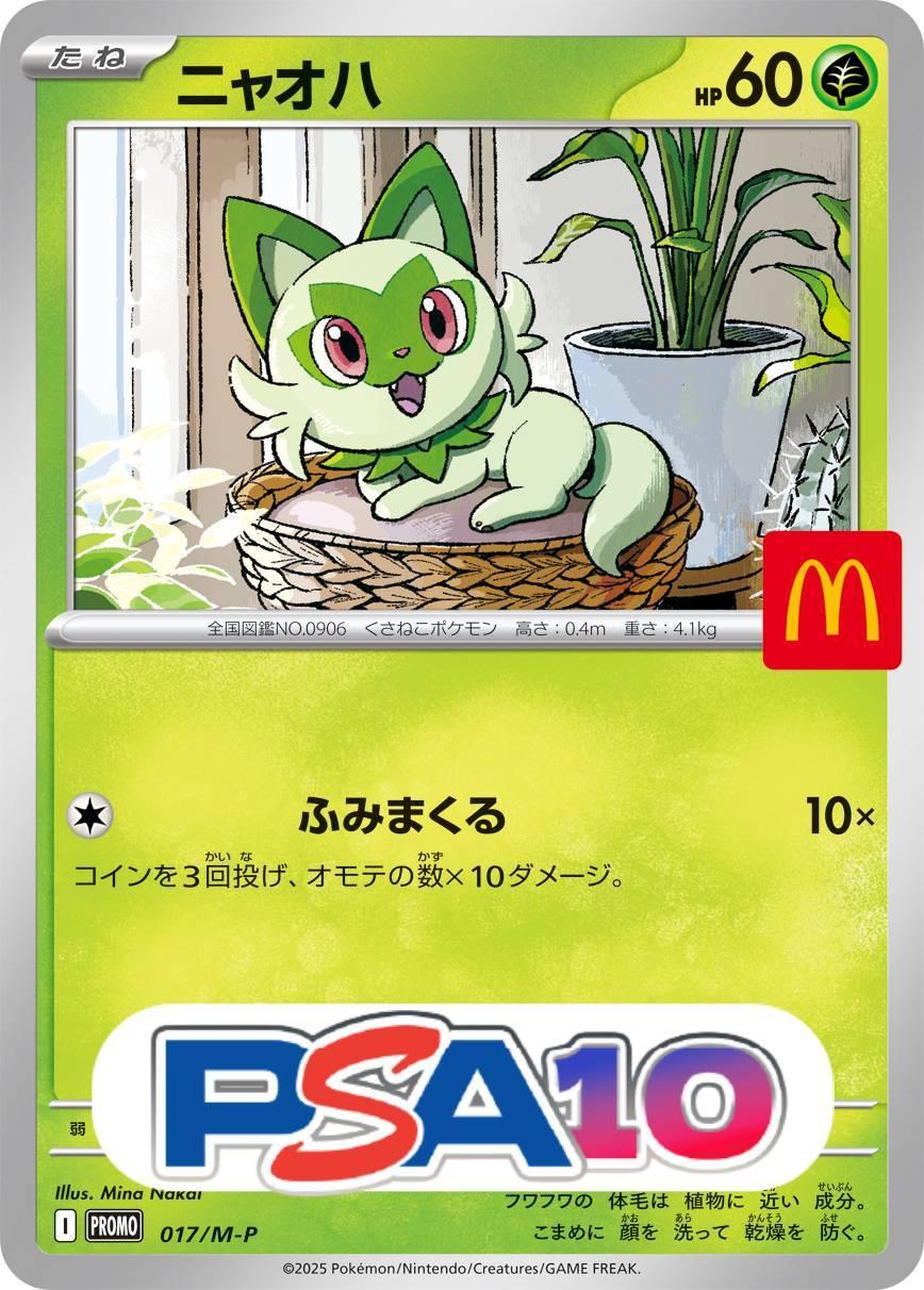 ニャオハ P 